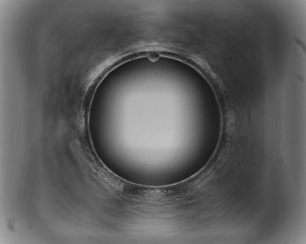 X0000100351167200806061107