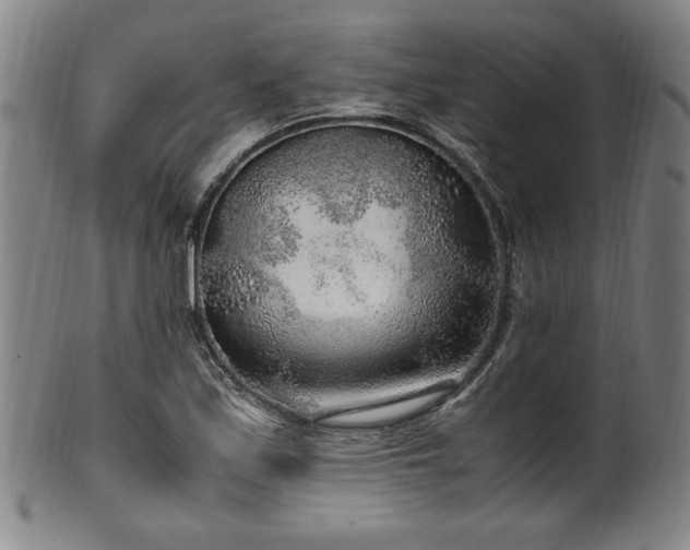 X0000100351171200806061107