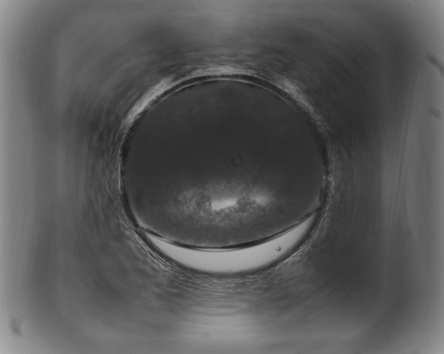 X0000100351173200806061107