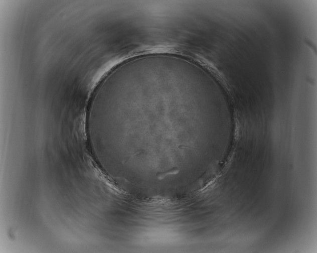 X0000100351174200806061107