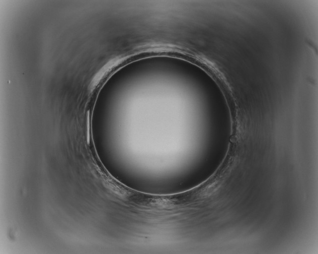 X0000100351175200806061107