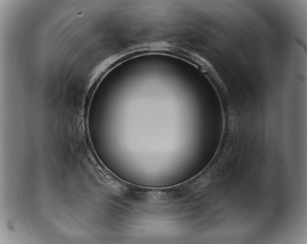 X0000100351176200806061107