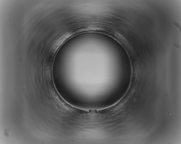 X0000100351177200806061107