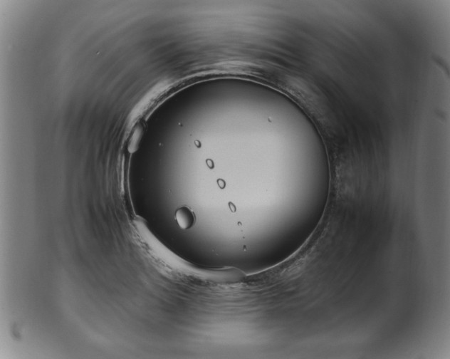 X0000100351180200806061107