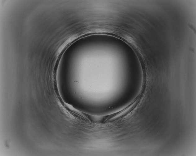 X0000100351181200806061107
