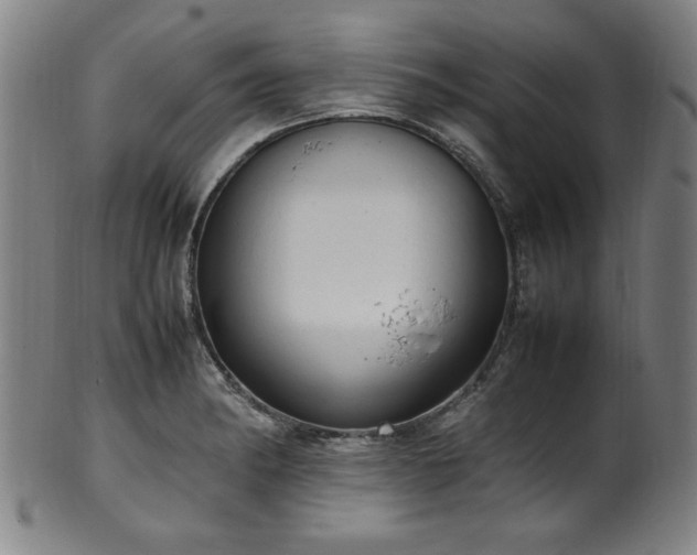 X0000100351182200806061107