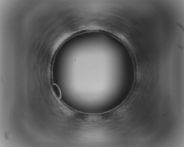 X0000100351183200806061107