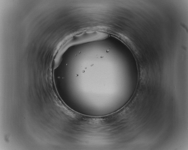 X0000100351184200806061107