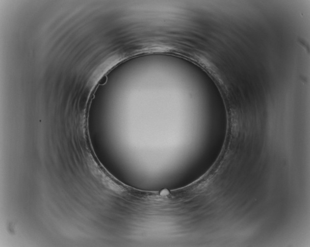X0000100351186200806061107