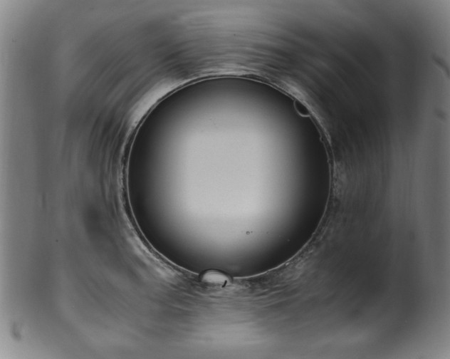 X0000100351187200806061107