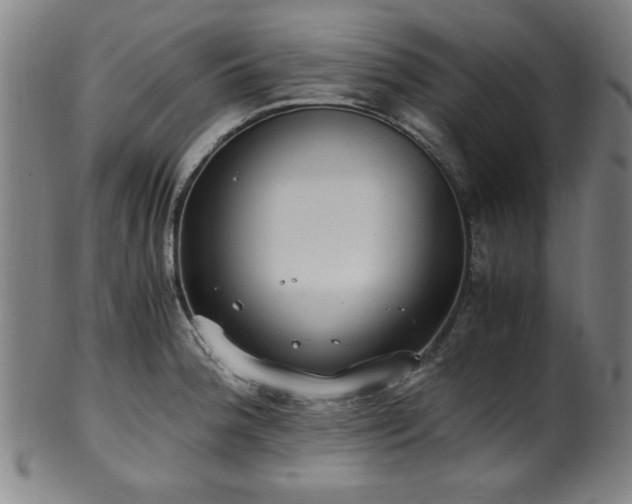 X0000100351188200806061107