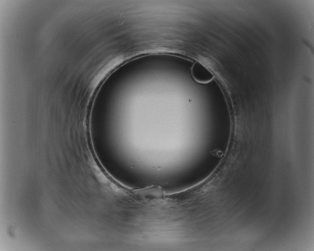 X0000100351189200806061107