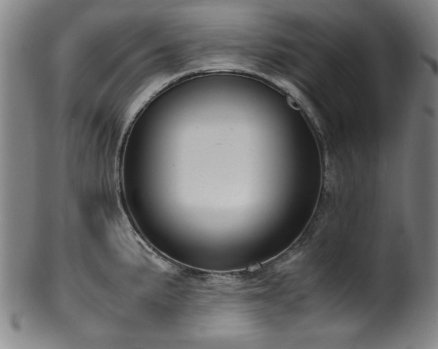 X0000100351191200806061107