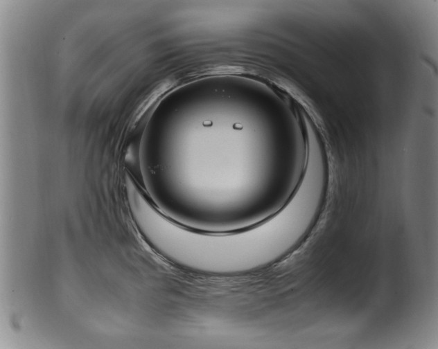 X0000100351193200806061107