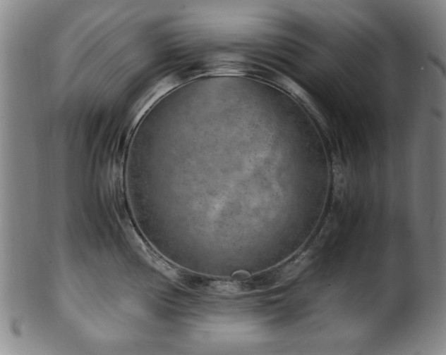X0000100351194200806061107