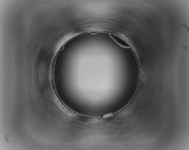 X0000100351195200806061107