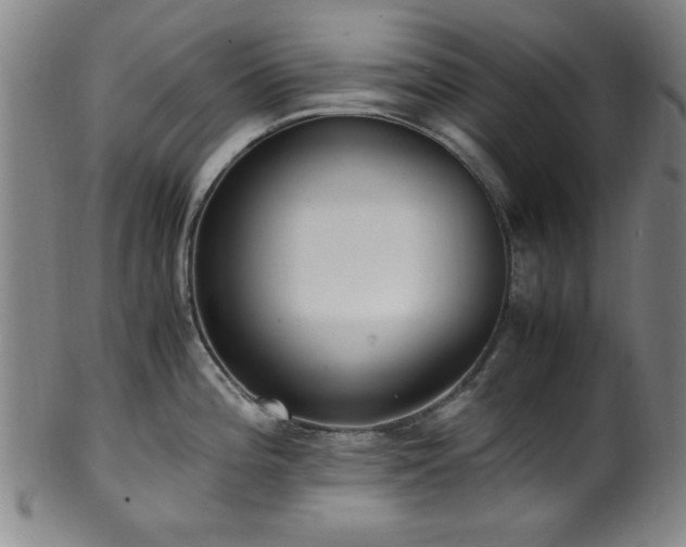 X0000100351196200806061107