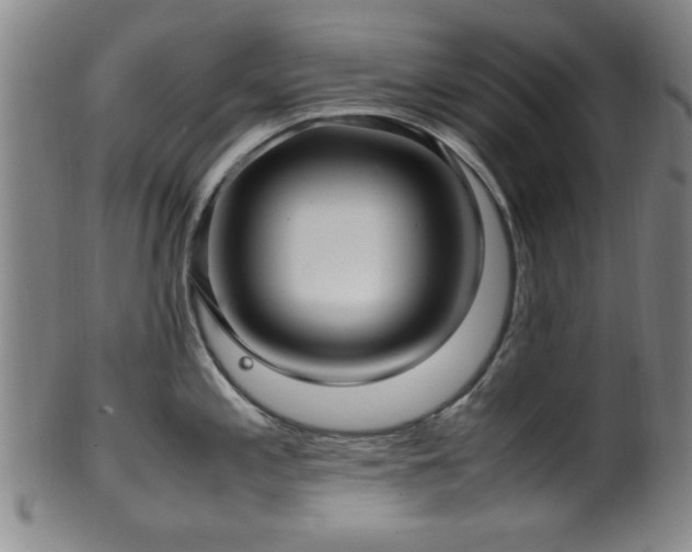 X0000100351197200806061107