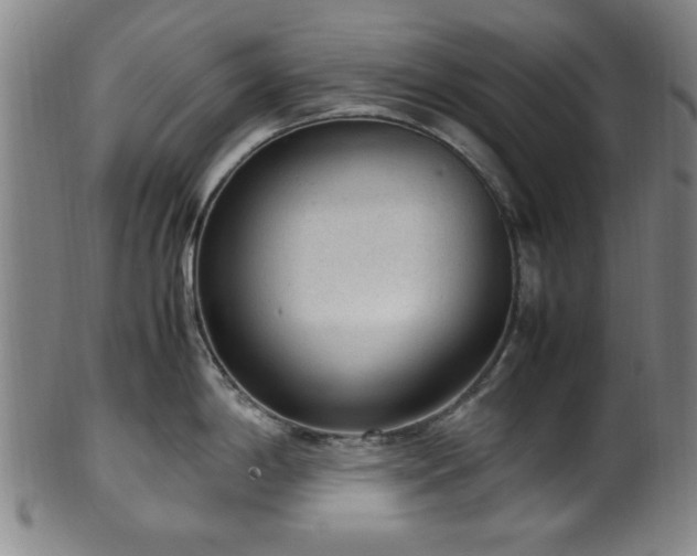X0000100351198200806061107