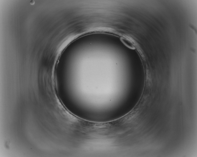 X0000100351199200806061107