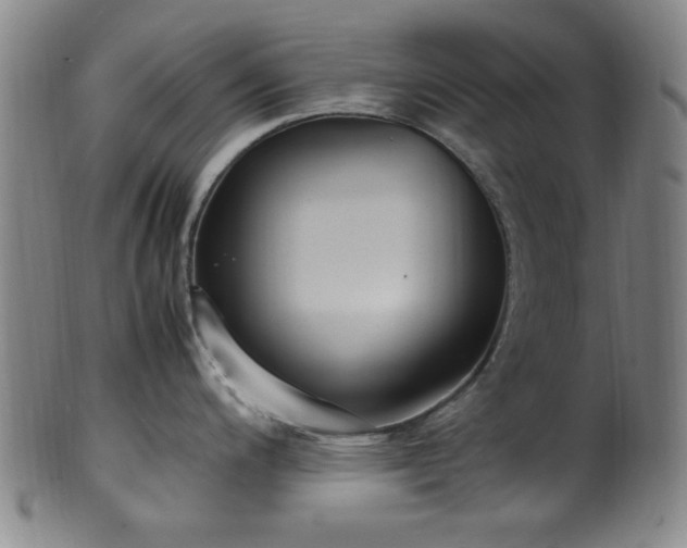 X0000100351200200806061107