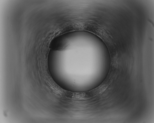 X0000100351201200806061106