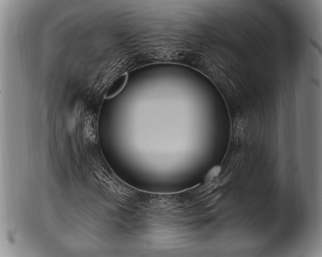 X0000100351202200806061106