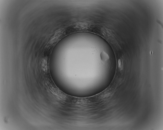 X0000100351203200806061106