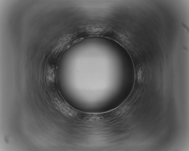 X0000100351204200806061106