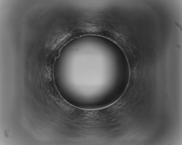 X0000100351205200806061106