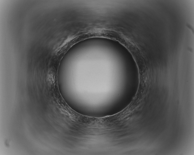 X0000100351206200806061106