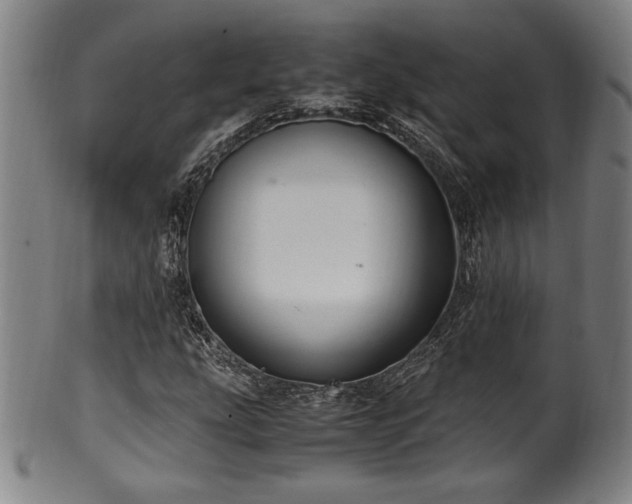X0000100351207200806061106