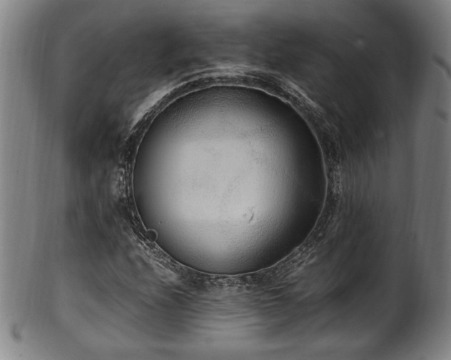 X0000100351208200806061106