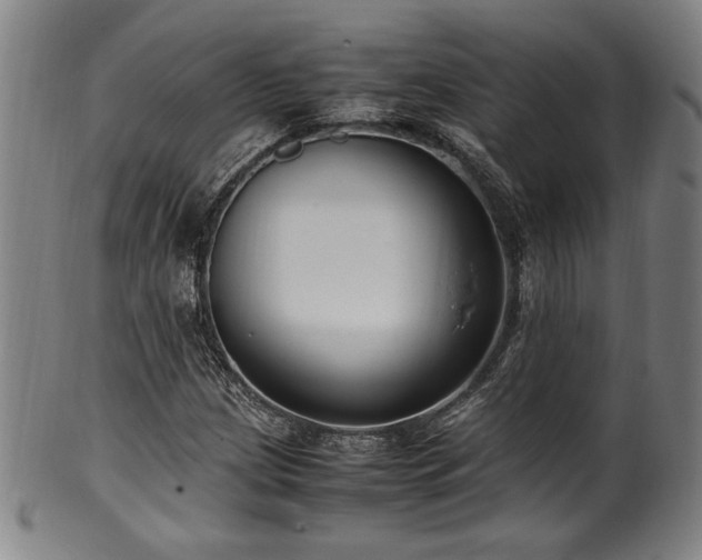 X0000100351209200806061106