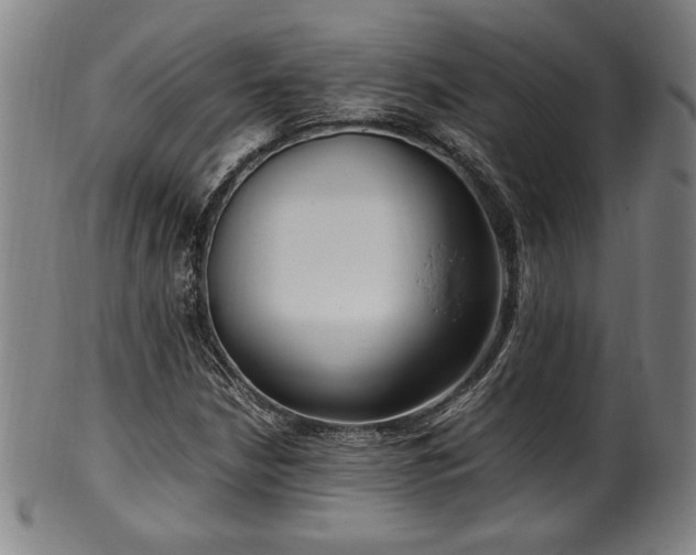 X0000100351210200806061106
