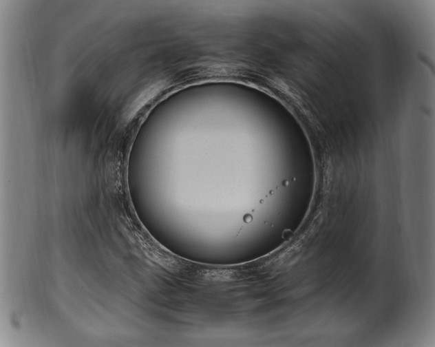 X0000100351211200806061106