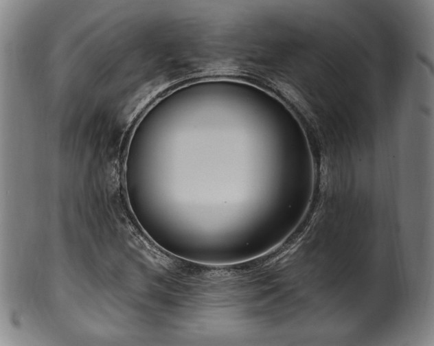 X0000100351212200806061106