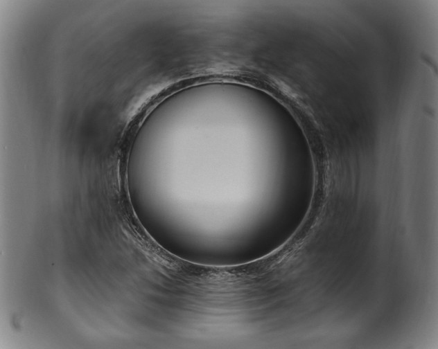 X0000100351214200806061106