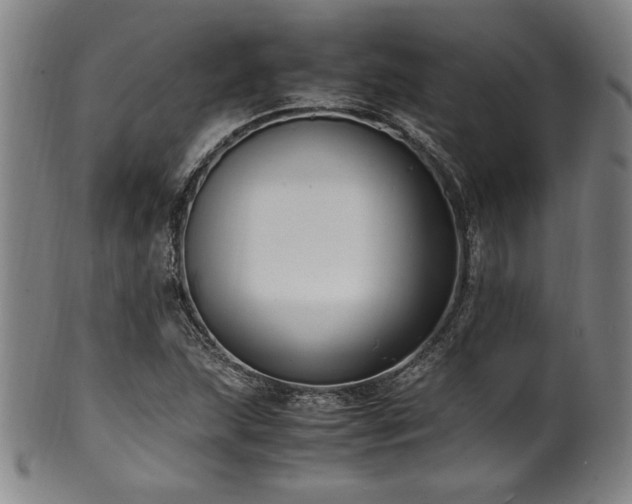 X0000100351215200806061106