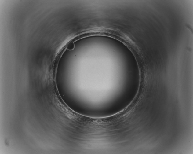 X0000100351216200806061106
