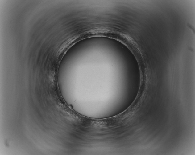 X0000100351217200806061106