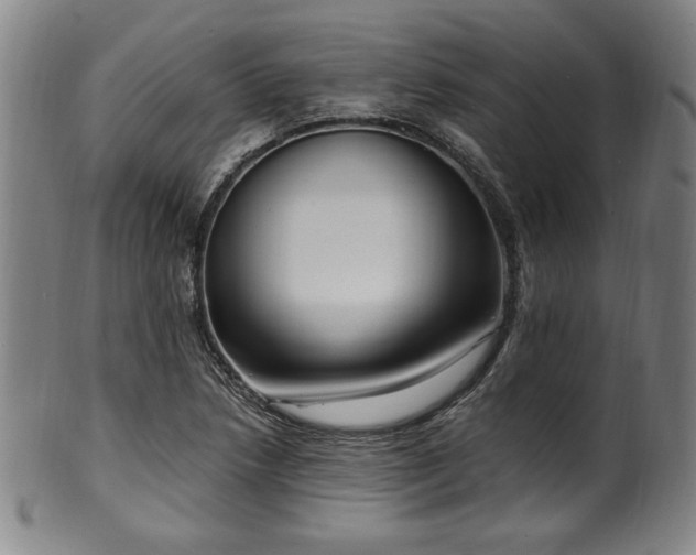 X0000100351218200806061106