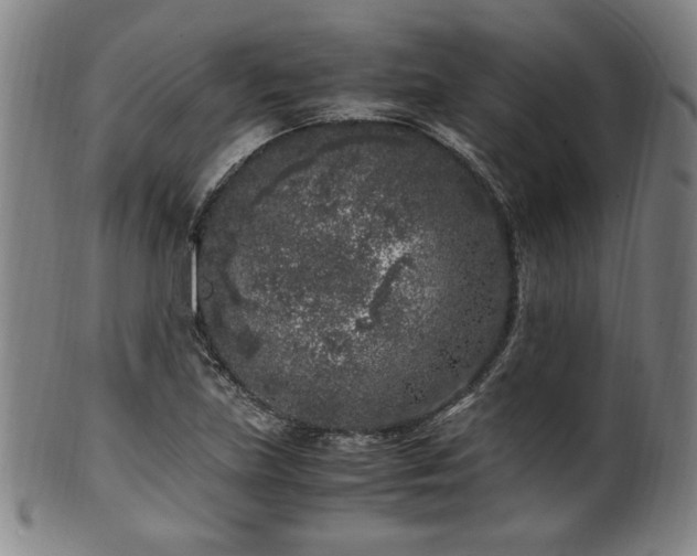 X0000100351219200806061106