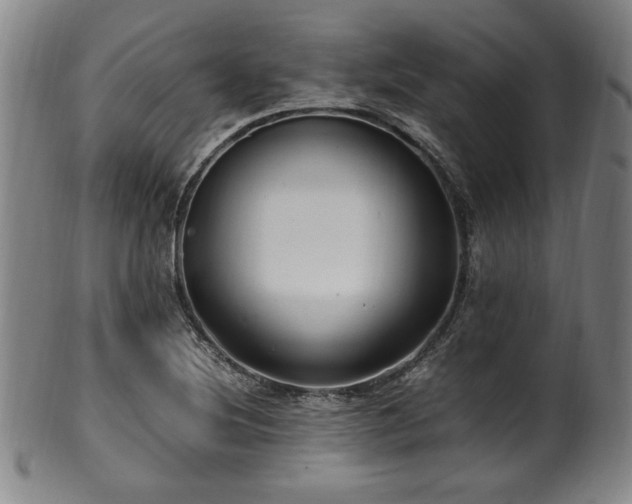 X0000100351220200806061106