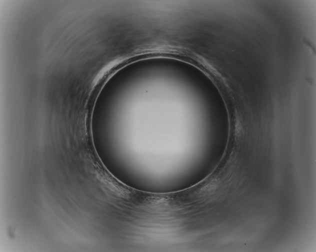 X0000100351222200806061106