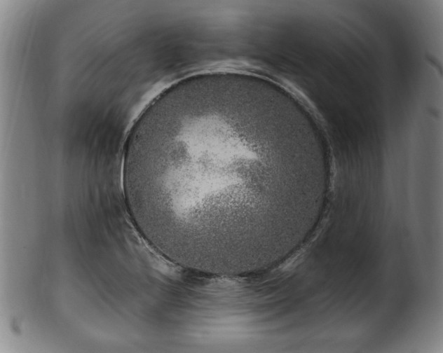 X0000100351224200806061106