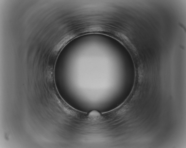 X0000100351225200806061106