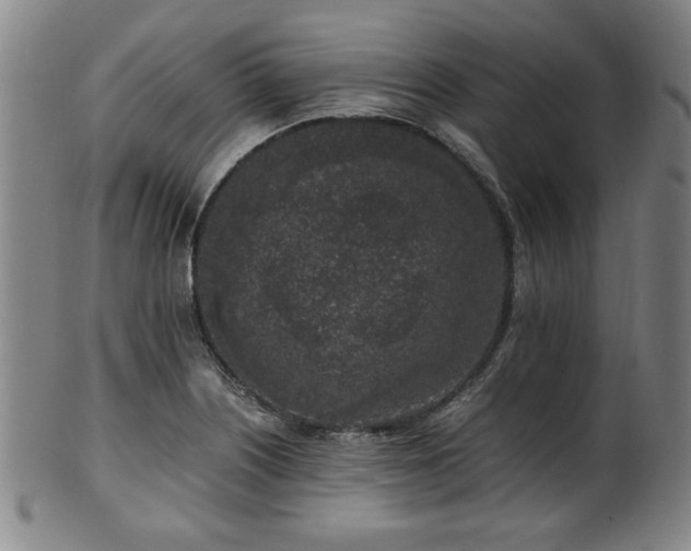 X0000100351226200806061106