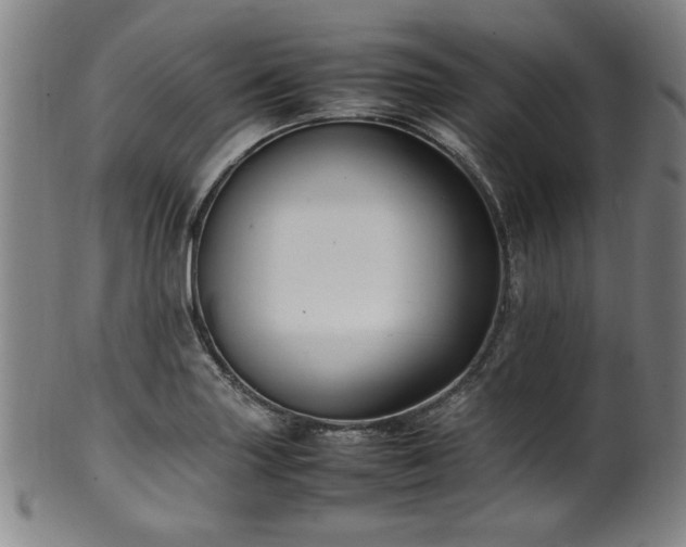 X0000100351227200806061106