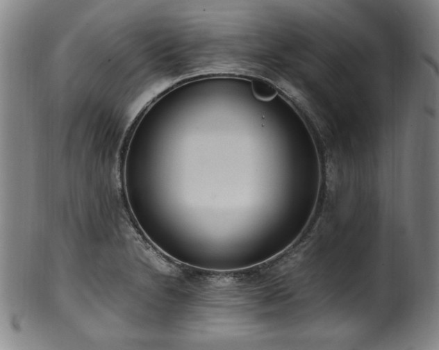 X0000100351230200806061106